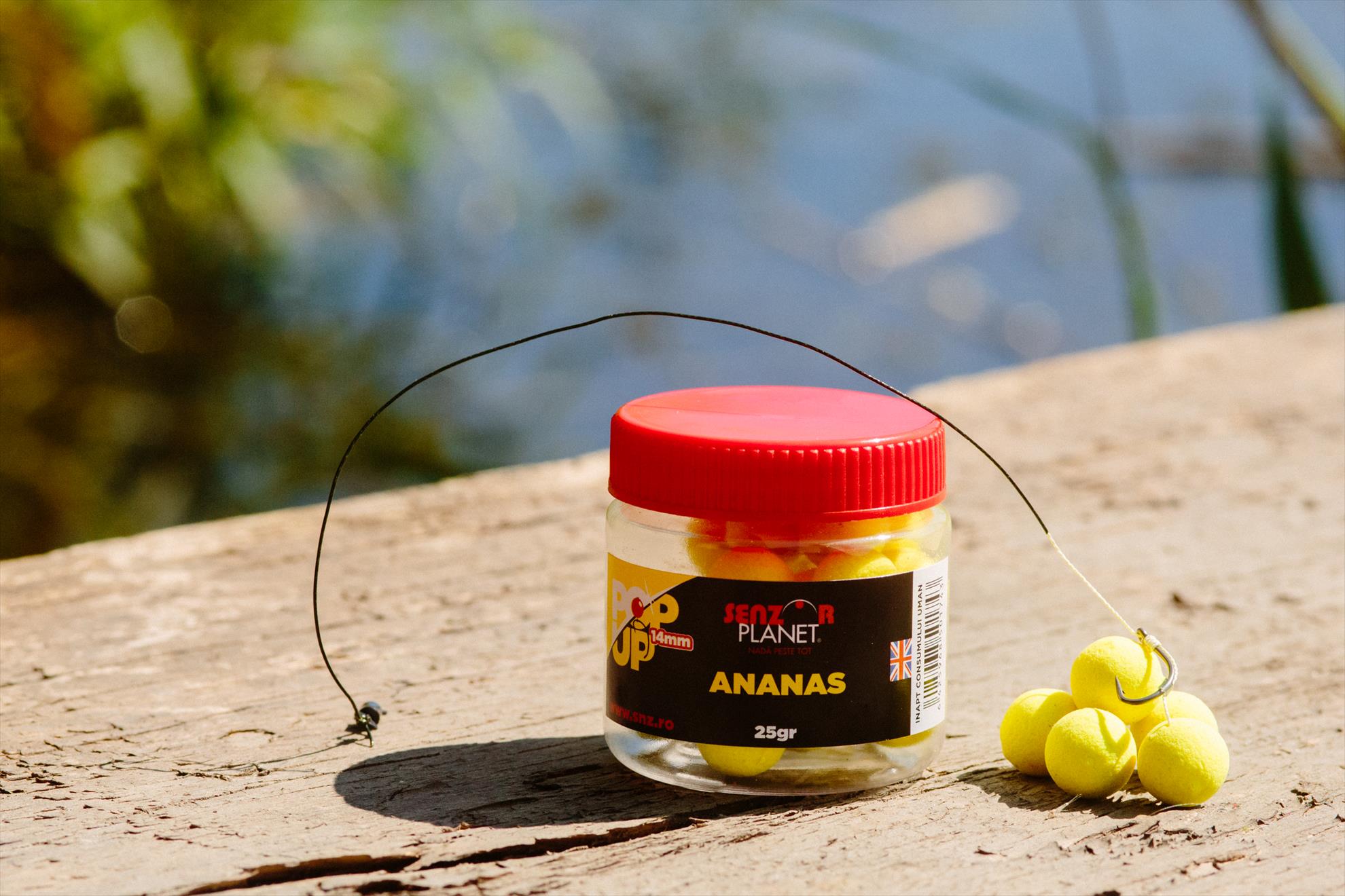 SNZ 2017 - senzor-pe-balta---011.jpg